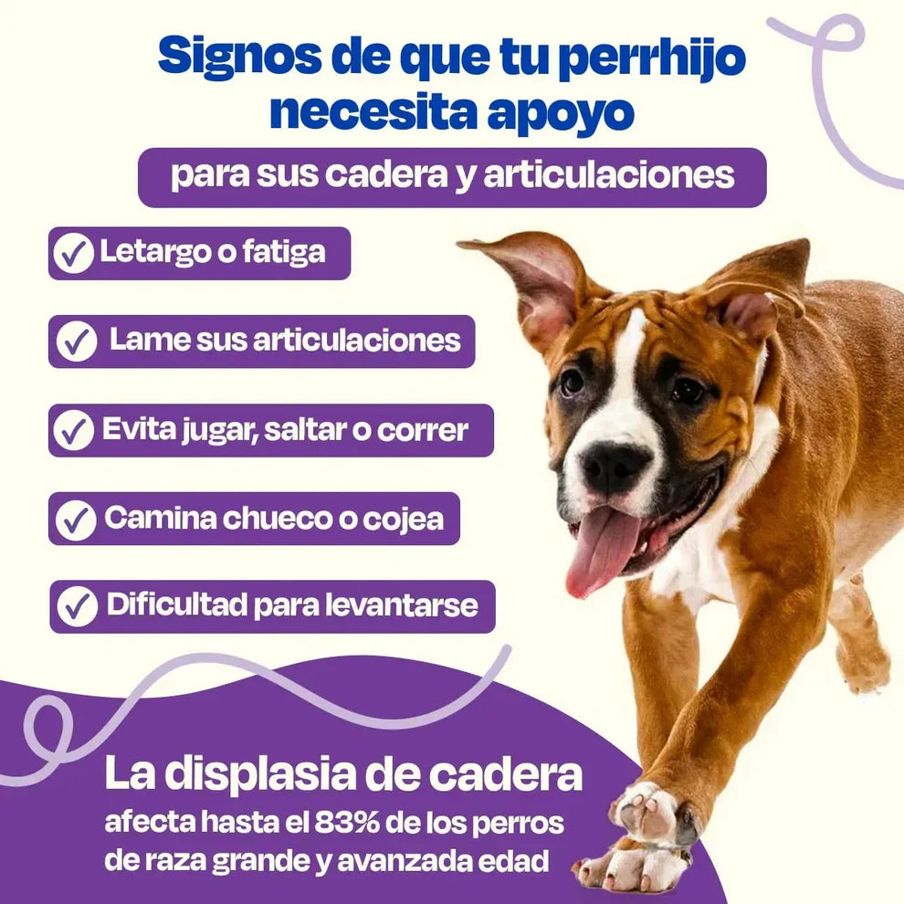 MOBILITY: Libertad en cada paso - Cuidado preventivo y correctivo para caderas y articulaciones 100% efectivo
