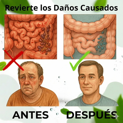 LIVER DETOX: Tu Botón de Reinicio Hepático 100% Efectivo