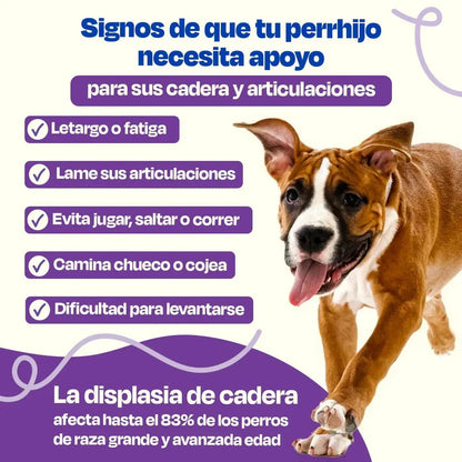 MOBILITY: Libertad en cada paso - Cuidado preventivo y correctivo para caderas y articulaciones  100% efectivo
