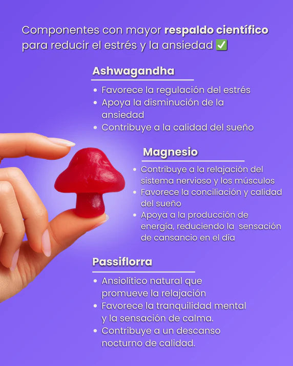 GOMITAS BUMI: El Secreto para un Descanso Profundo y Natural 100% Efectivo