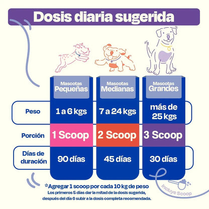 MOBILITY: Libertad en cada paso - Cuidado preventivo y correctivo para caderas y articulaciones  100% efectivo
